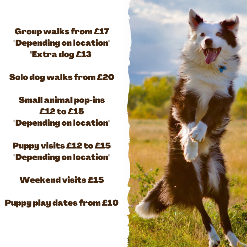 dog-walking-prices
